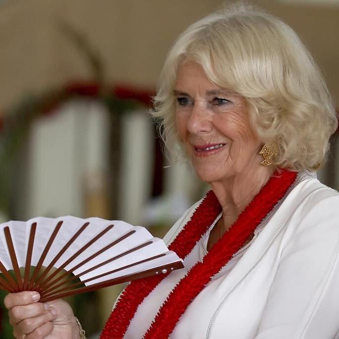 Queen Camilla has a chest infection and will miss the UK's annual Remembrance Sunday events